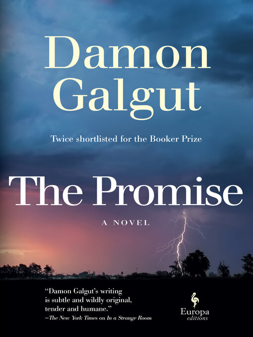 Title details for The Promise by Damon Galgut - Available